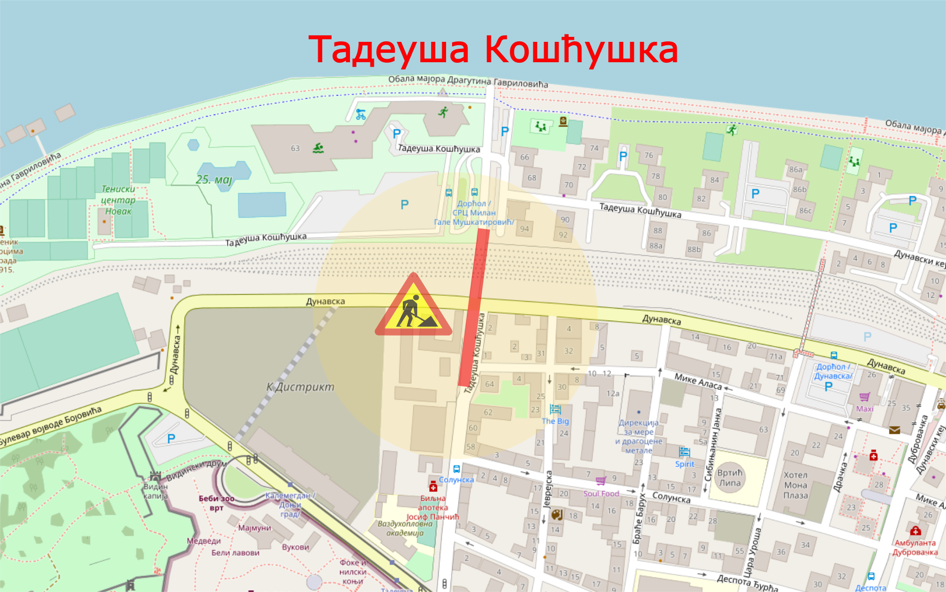 
                                                     Радови у Тадеуша Кошћушка
                                                     